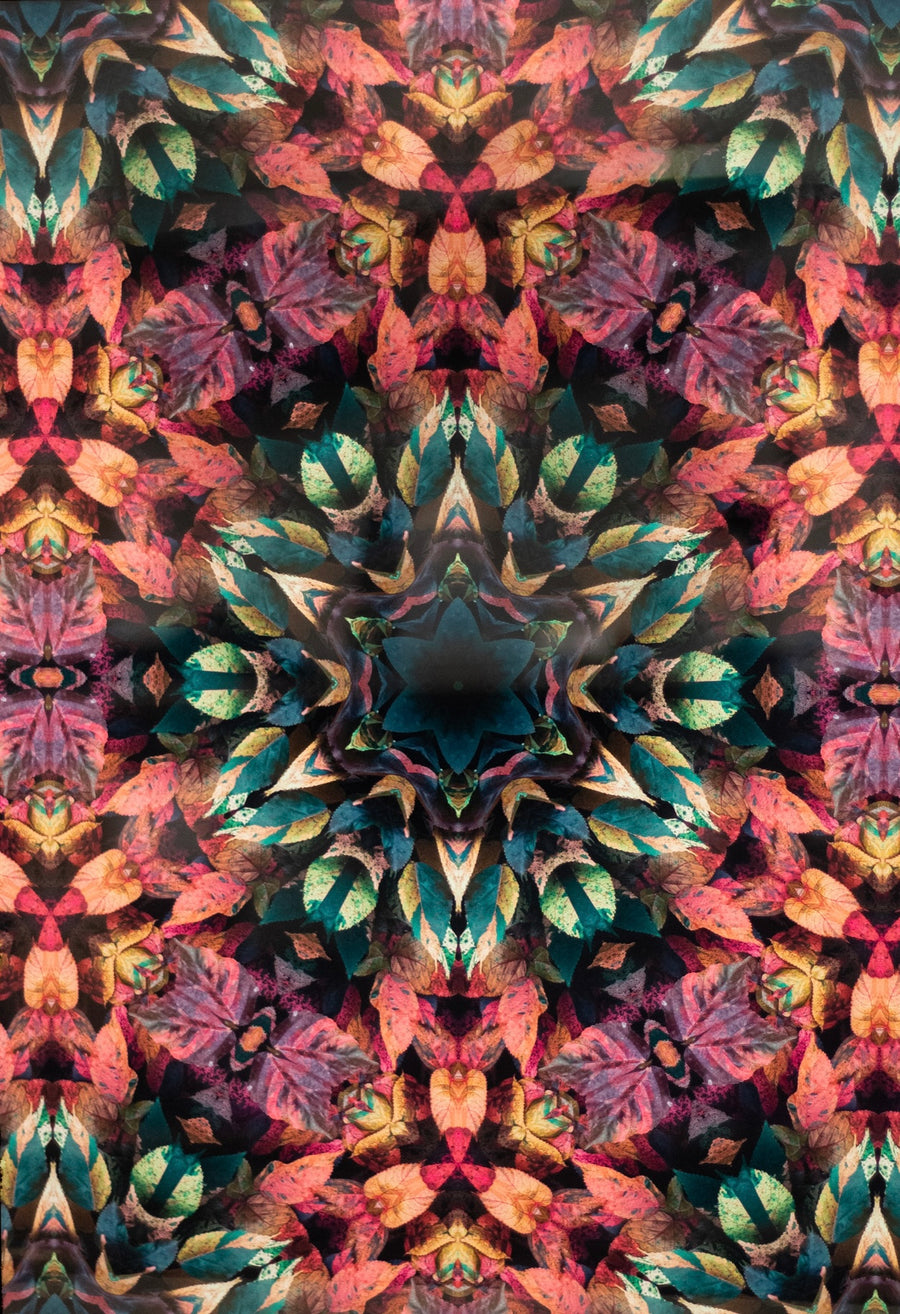 Piscine Molitor Patel by Lohit Krishna — Rangini Colour series