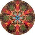 The Bloom of Fortune by Lohit Krishna — Rangini Culture series