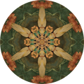 Lotus of Light by Lohit Krishna — Rangini Culture series