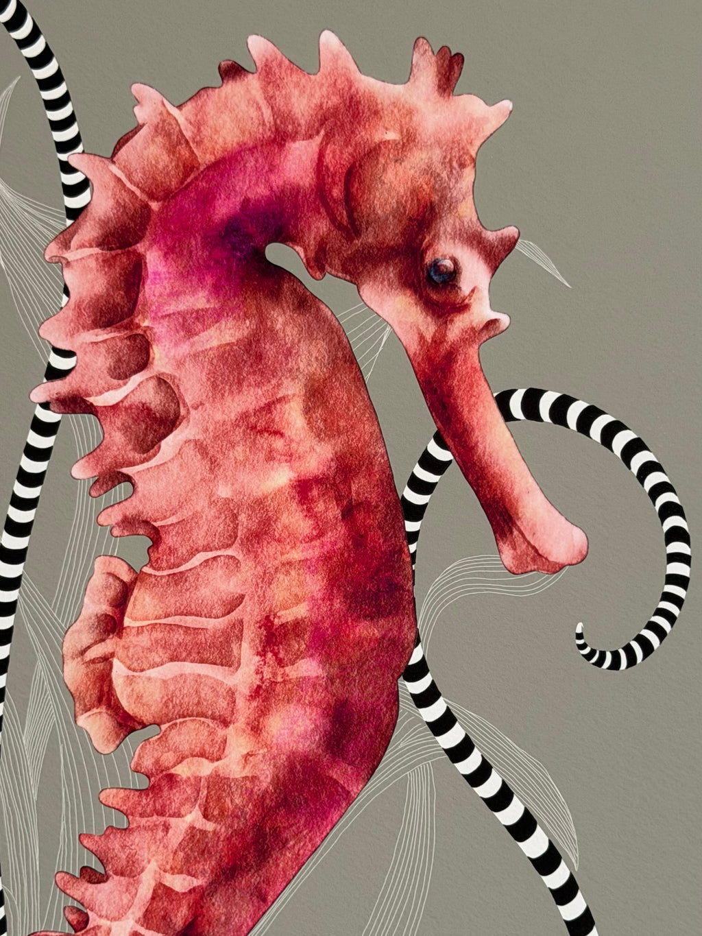 Little Oddity – Underwater Love by Isma J. Rafiq