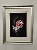 Shell Shocked by Isma J. Rafiq — Underwater Love series