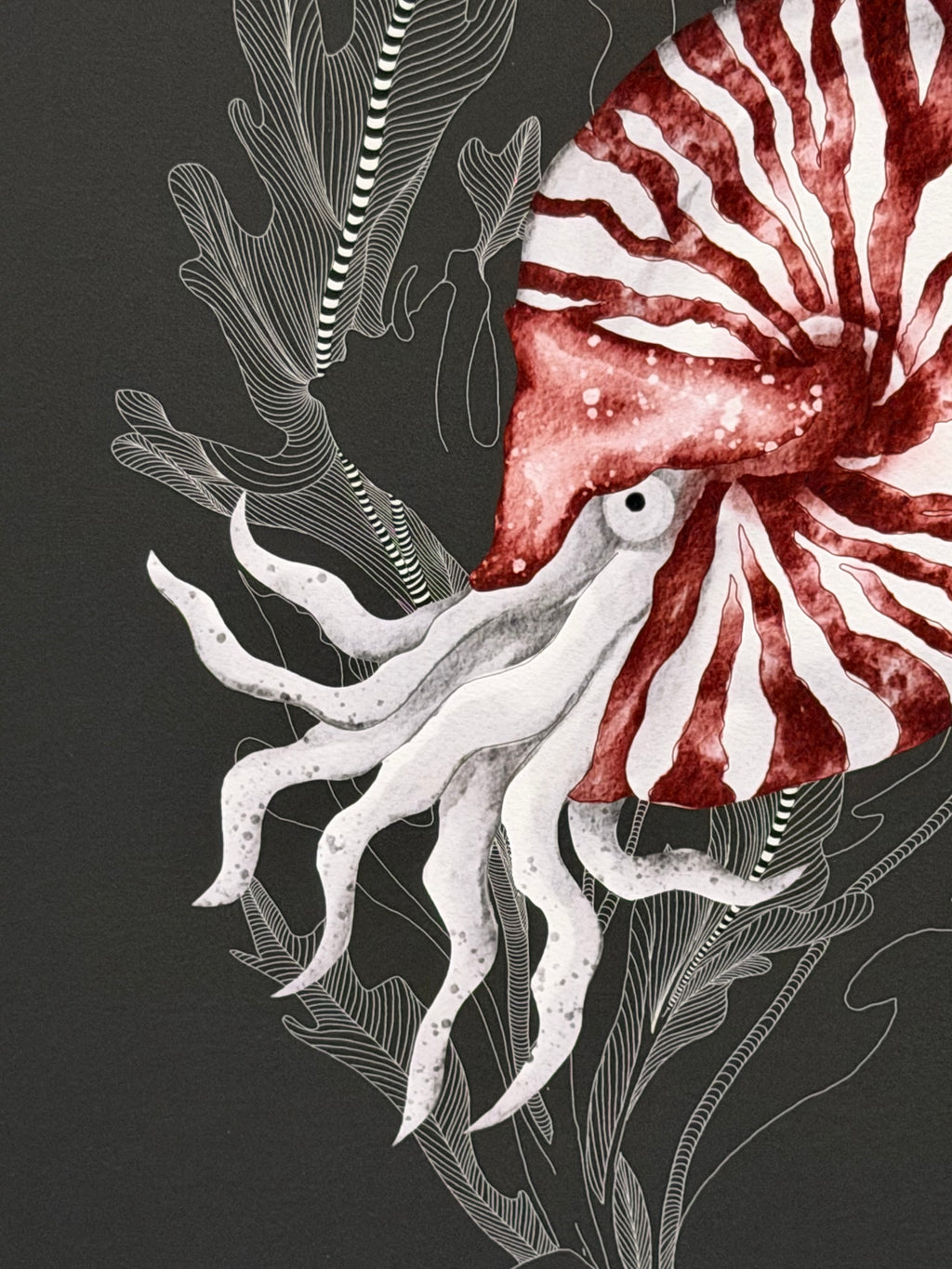 Shell Shocked – Underwater Love by Isma J. Rafiq