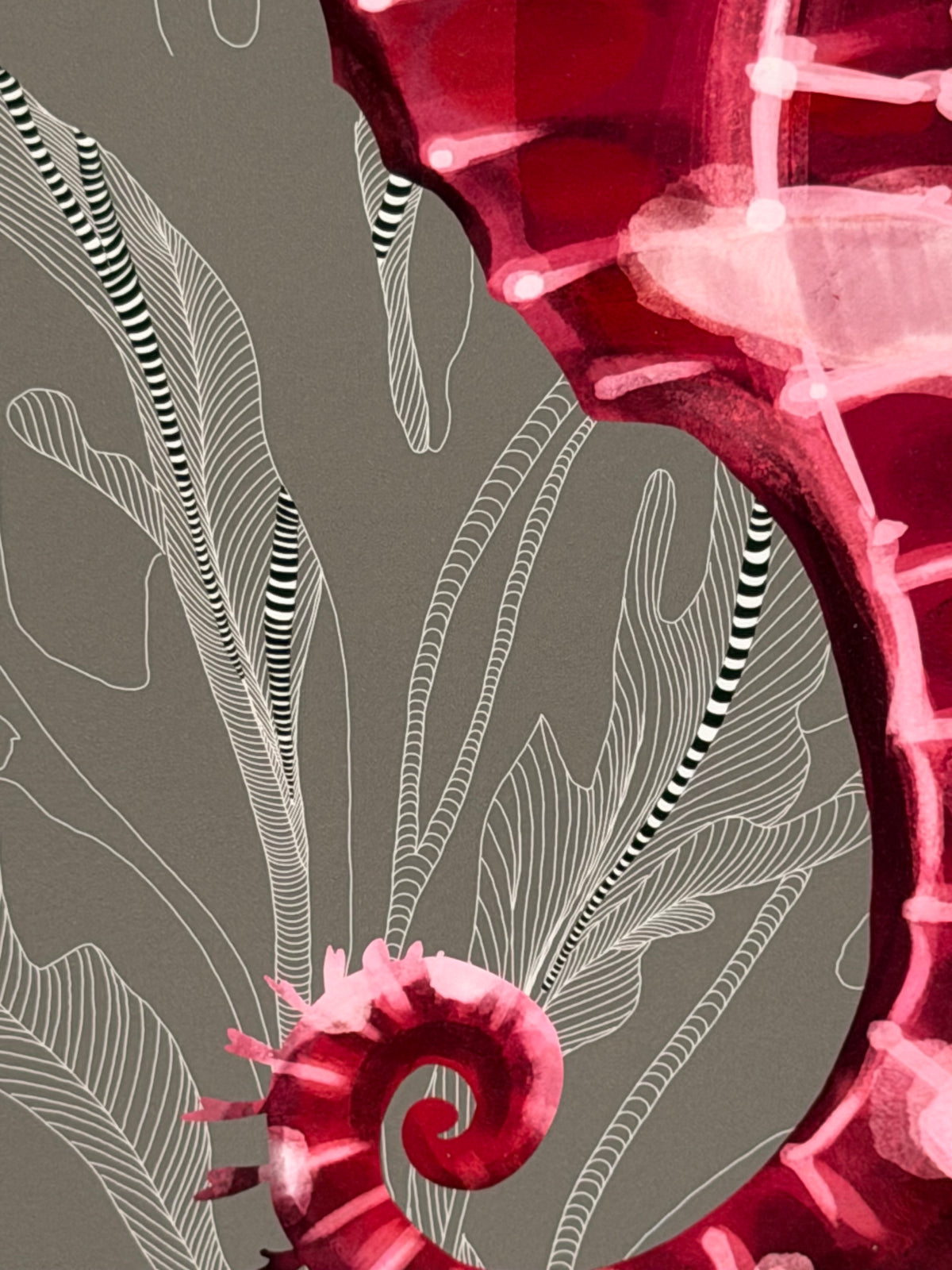 Sweet Misfit by Isma J. Rafiq — Underwater Love series, close-up detail